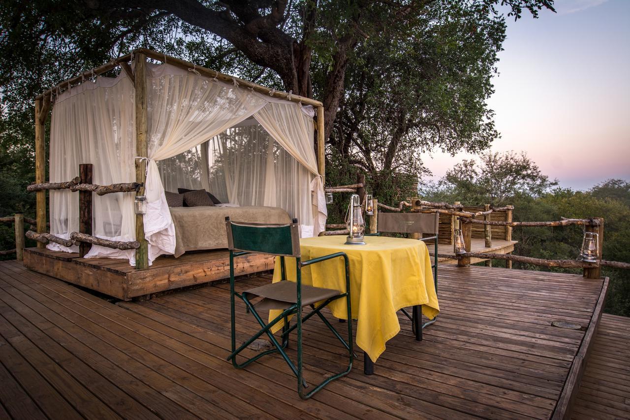 Vila Garonga Safari Makalali Game Reserve Exteriér fotografie